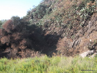 i Castello mega pillow-07-10-2012 08-24-35